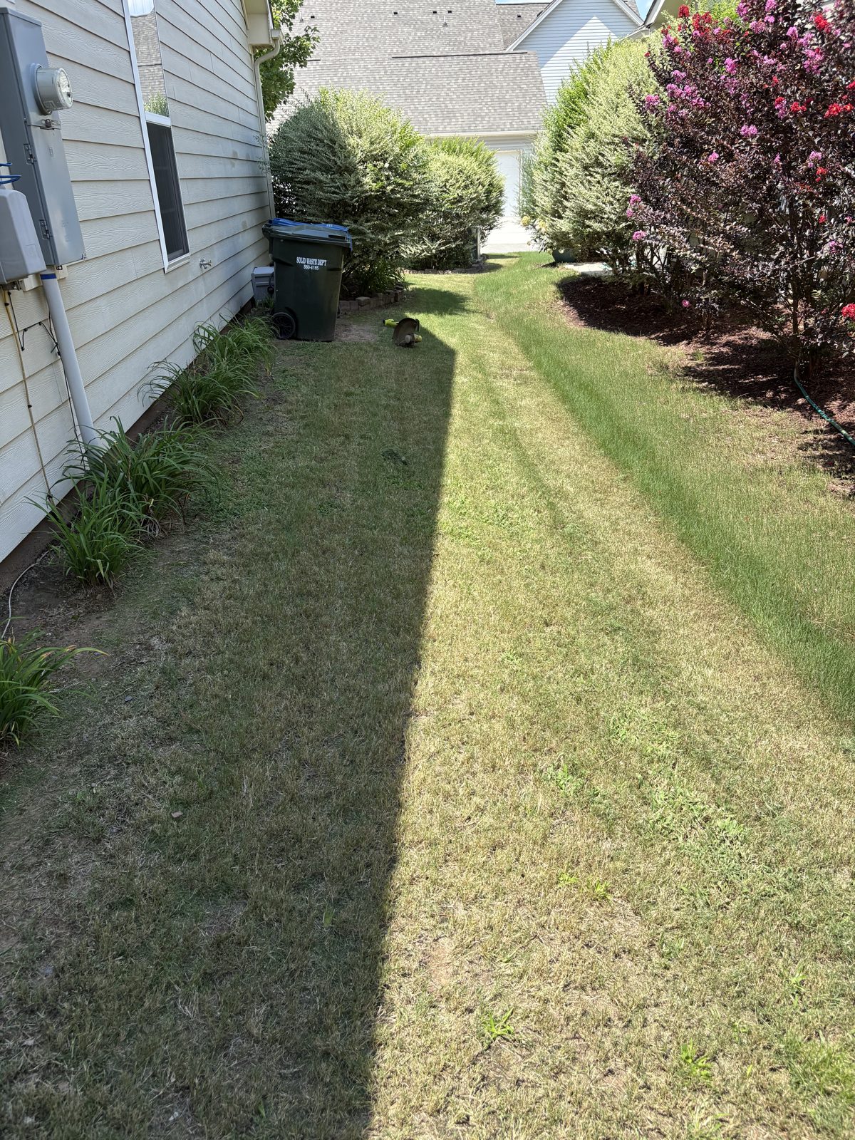 Backyard by the deck, mowed