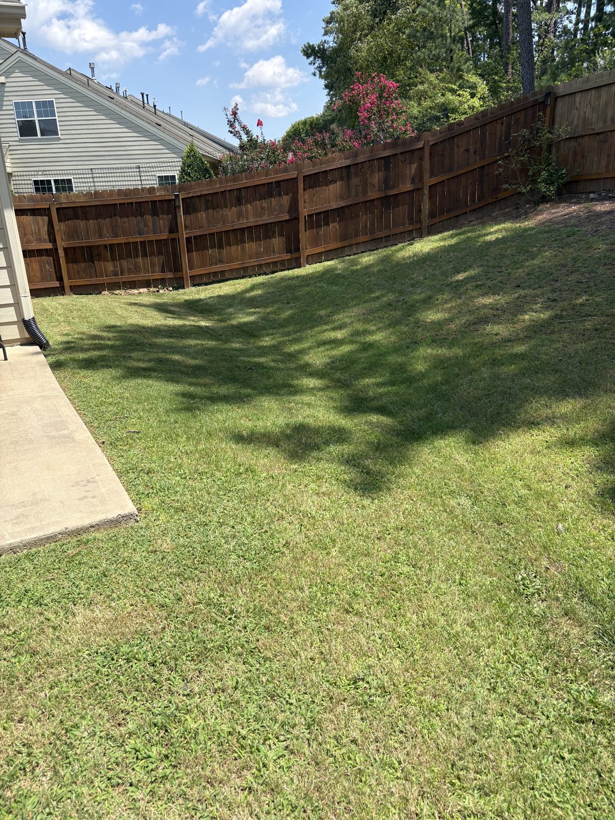 Backyard along the fence, mowed