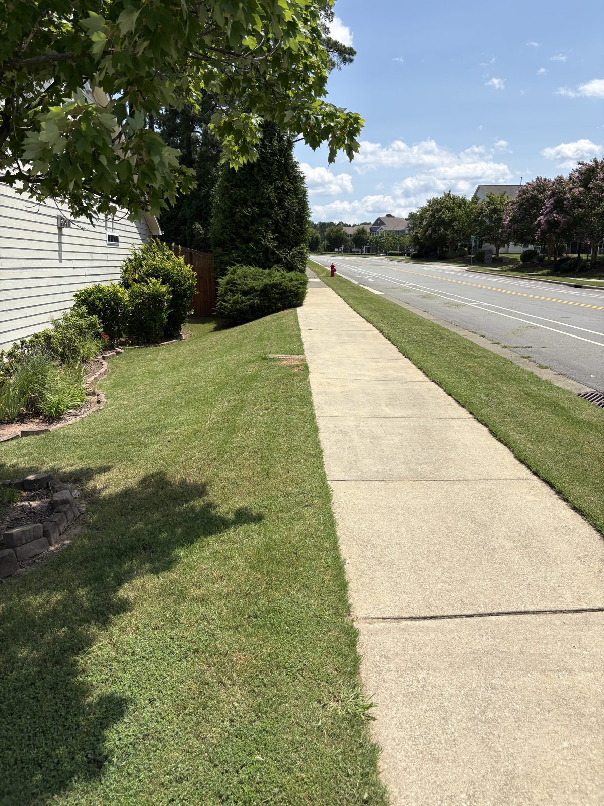 Side yard and sidewalk, trimmed and blown clean